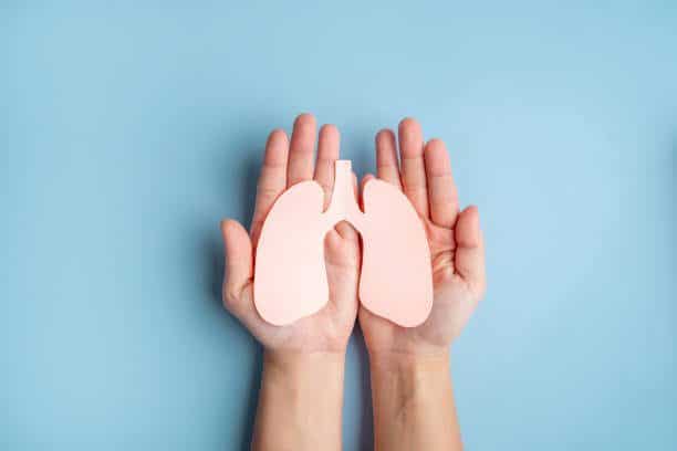 KOL hjemmeside Human hands holding healthy lung shape made from paper on light blue background. World lung day.